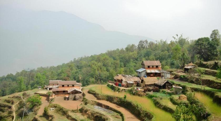 Hananoie - A Permaculture Resort بوكْرا المظهر الخارجي الصورة