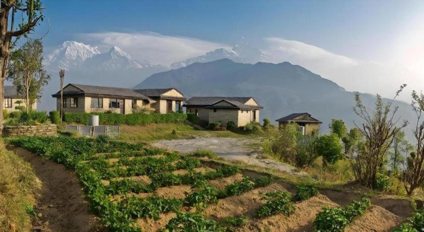 Hananoie - A Permaculture Resort بوكْرا المظهر الخارجي الصورة