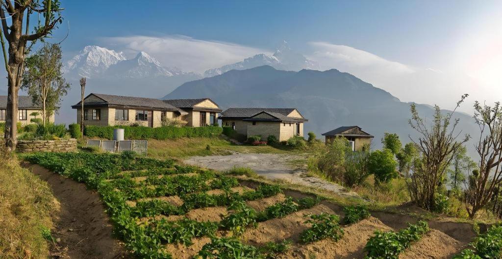 Hananoie - A Permaculture Resort بوكْرا المظهر الخارجي الصورة