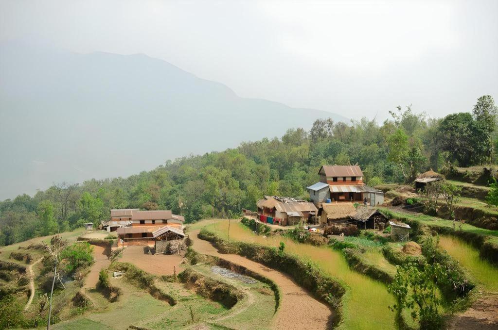 Hananoie - A Permaculture Resort بوكْرا المظهر الخارجي الصورة